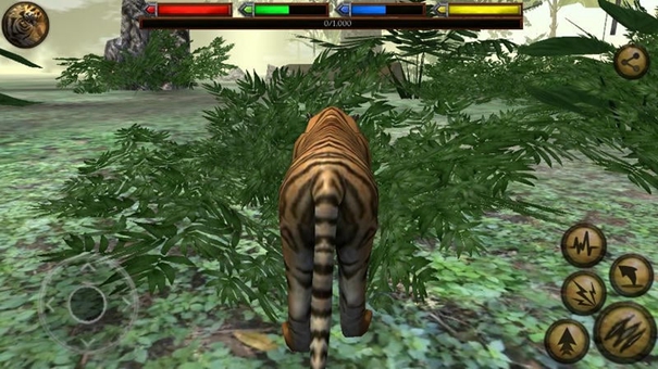 丛林动物模拟器