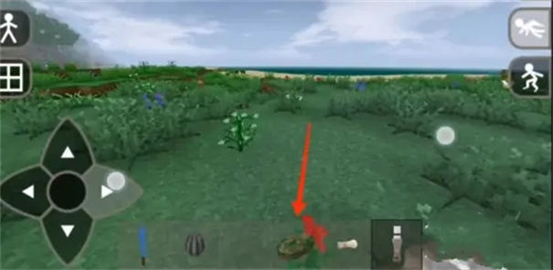 生存战争2野人岛(中文)