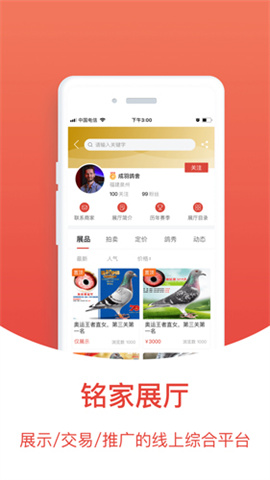 搜鸽天下正式版