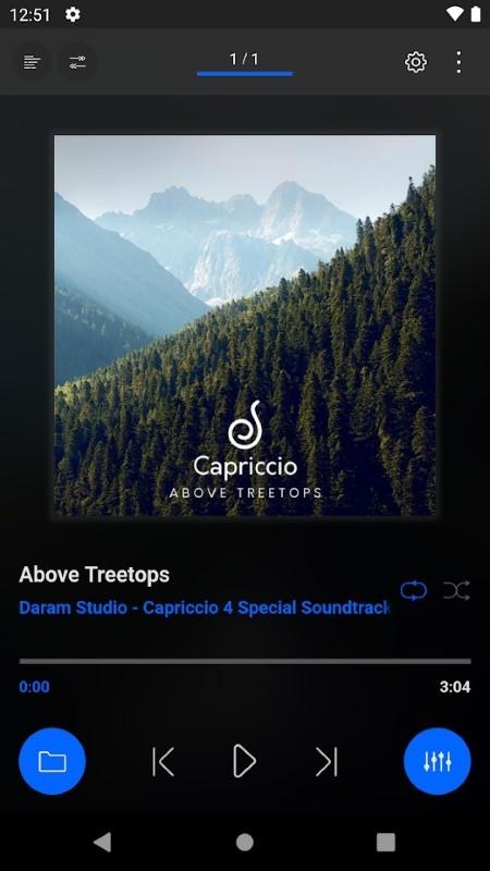 capriccio音乐播放器安卓版